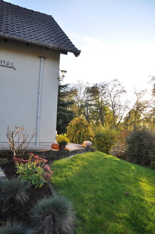 Chambres D'Hotes Les Chalinettes Fegersheim Dış mekan fotoğraf
